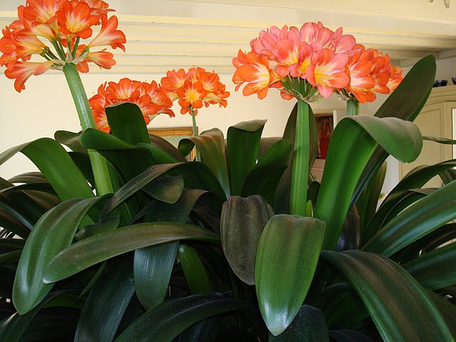 stillevens henk van dam art kunstschilder